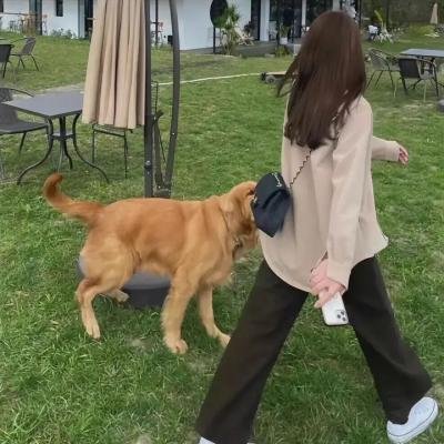 崖上的波妞