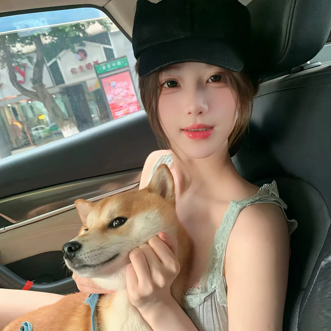 但愿人长久电影版